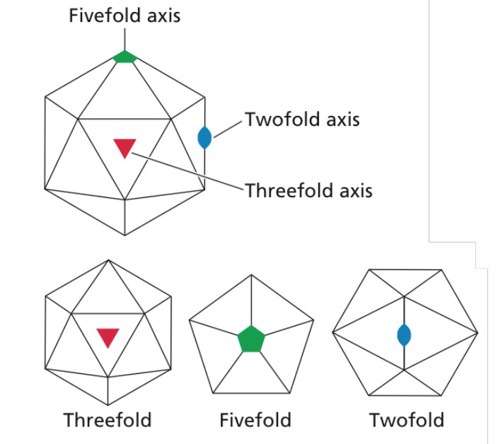 icosahedral symmetry