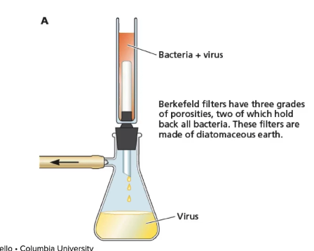 virus discovery