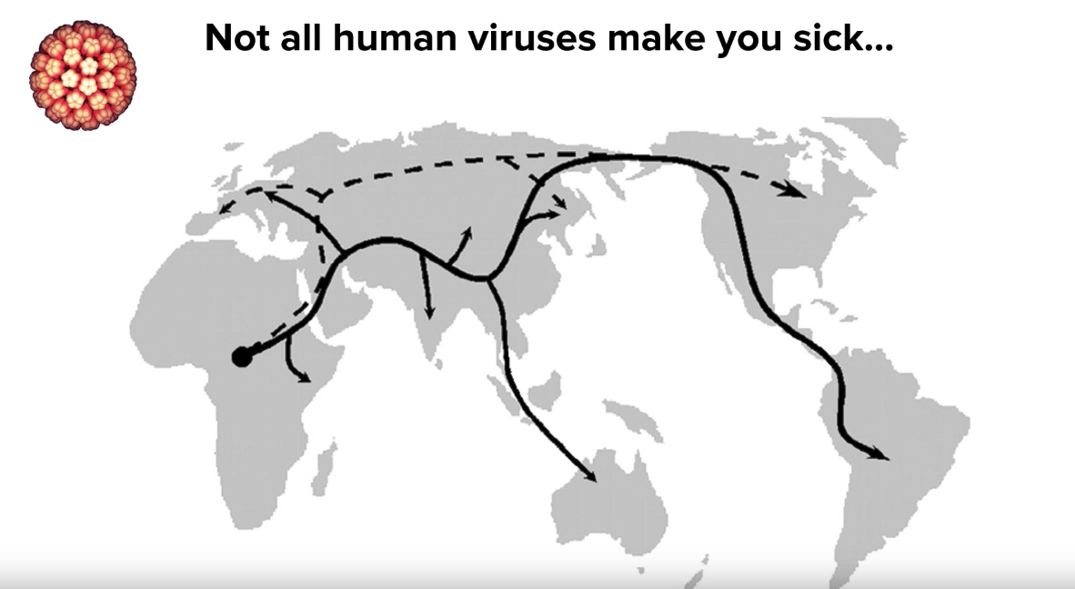 virus migration